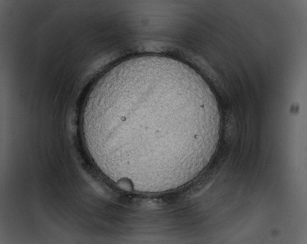 X0000101150683200807181334