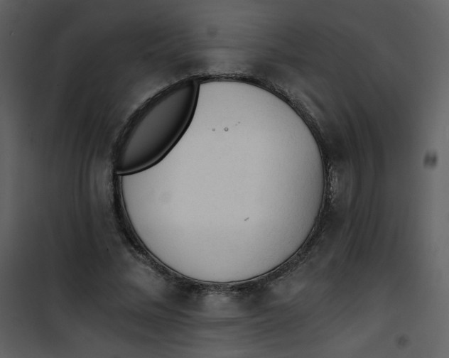 X0000101150684200807181334