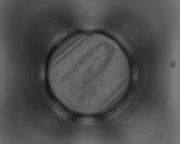 X0000101150685200807181334