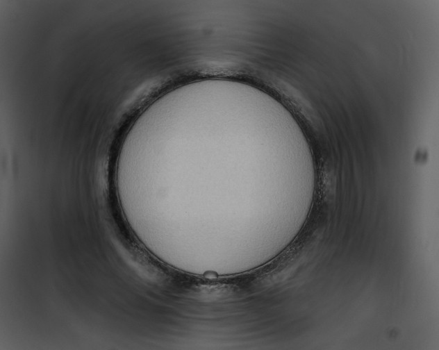 X0000101150686200807181334