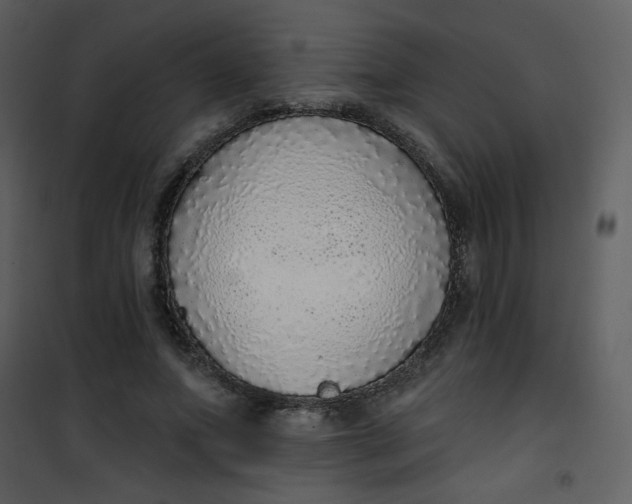 X0000101150687200807181334