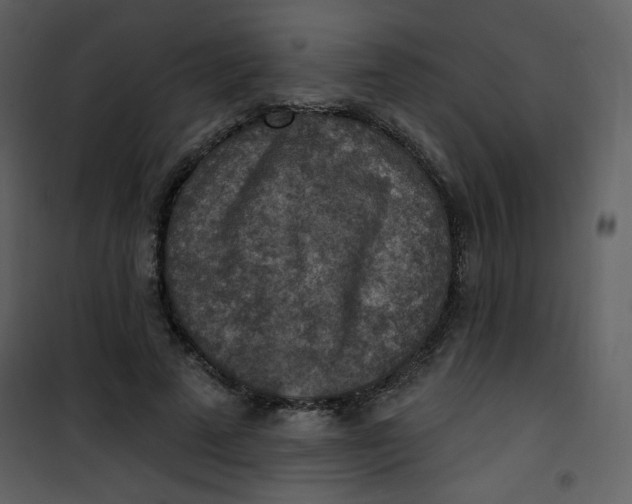 X0000101150689200807181334