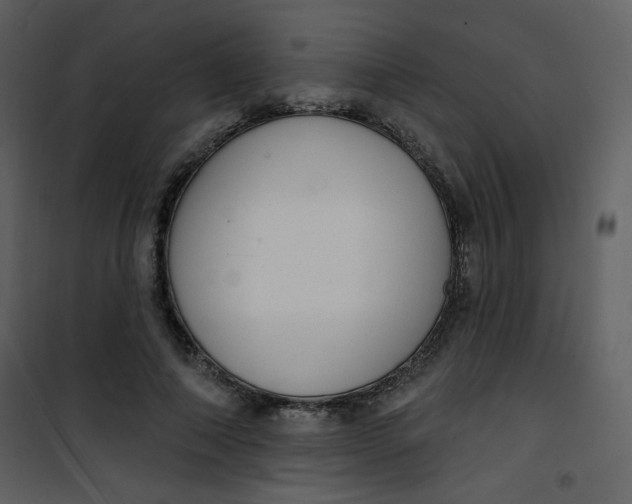 X0000101150690200807181334