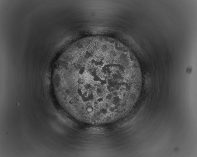 X0000101150691200807181334