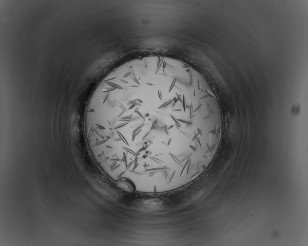 X0000101150692200807181334