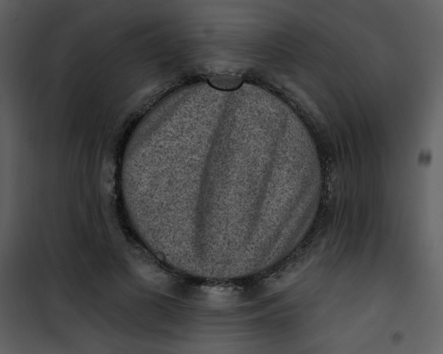 X0000101150693200807181334