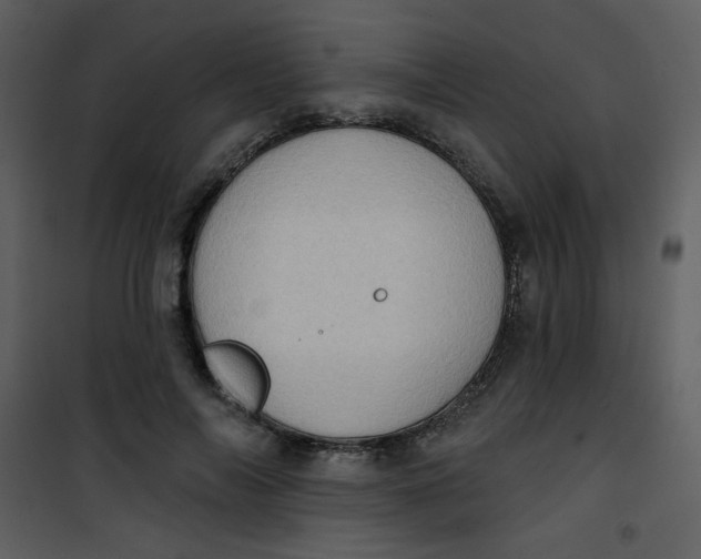 X0000101150694200807181334