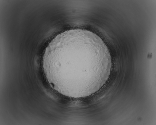 X0000101150695200807181334