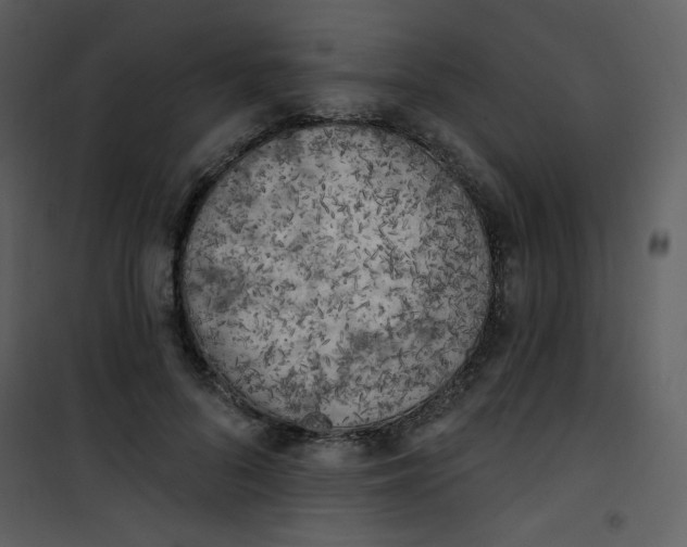 X0000101150696200807181334