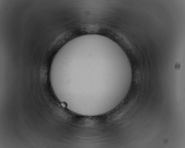 X0000101150697200807181334