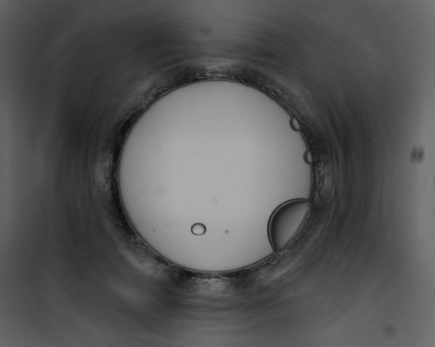 X0000101150698200807181334