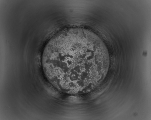 X0000101150699200807181334