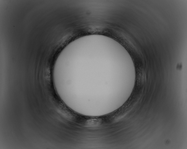 X0000101150700200807181334