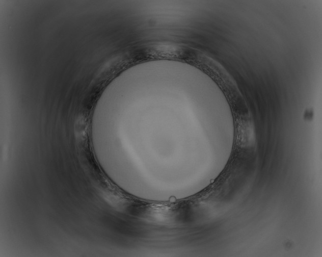 X0000101150701200807181334