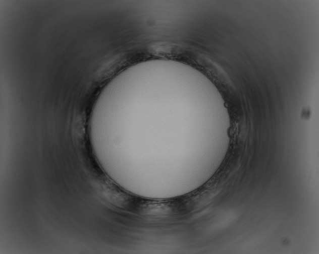 X0000101150702200807181334