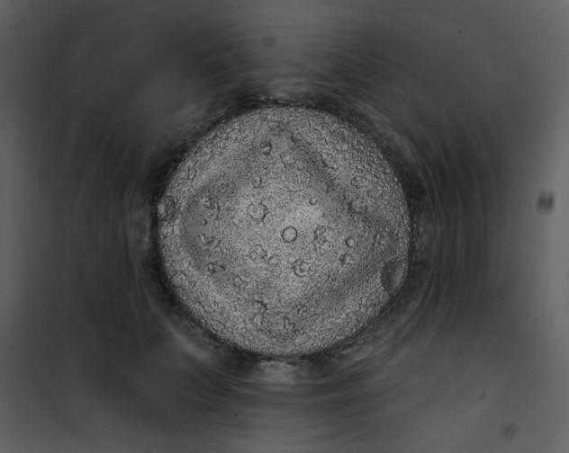 X0000101150703200807181334