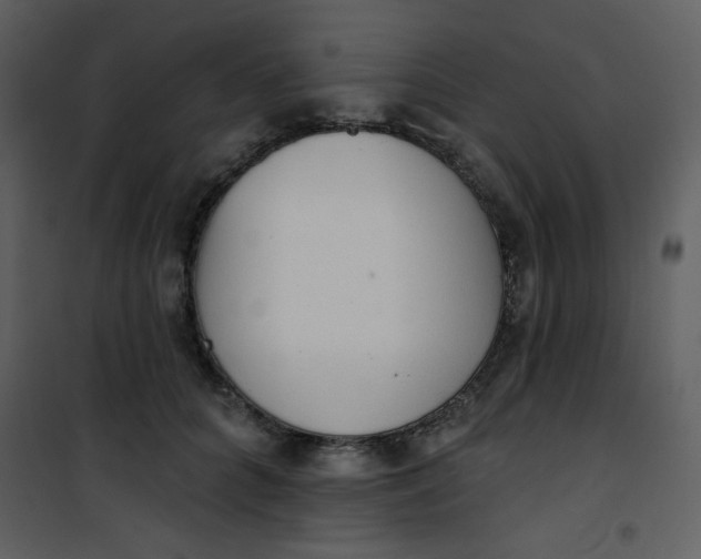 X0000101150704200807181334