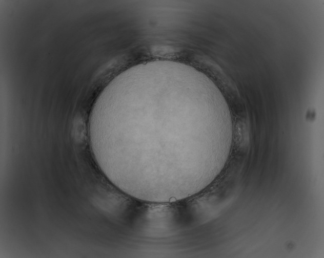 X0000101150705200807181334