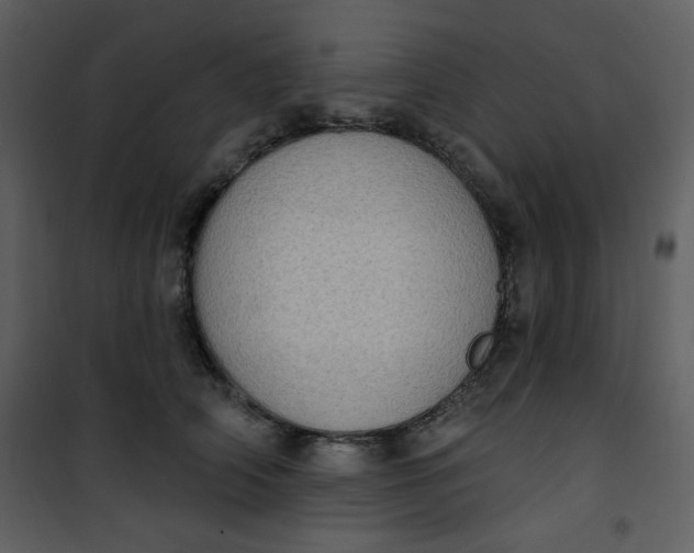 X0000101150706200807181334