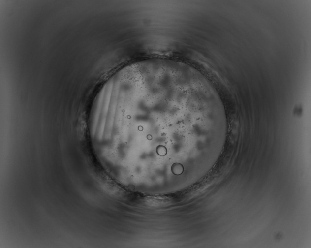 X0000101150707200807181334