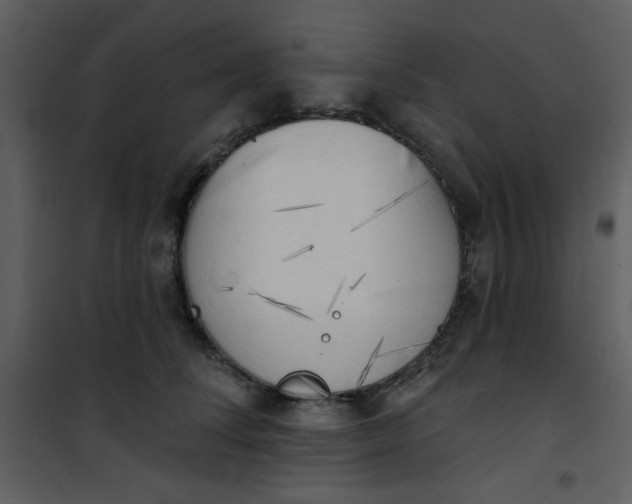 X0000101150708200807181334