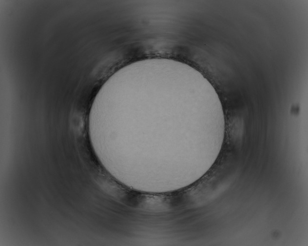 X0000101150709200807181334