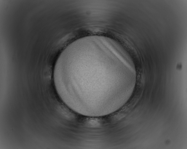 X0000101150710200807181334