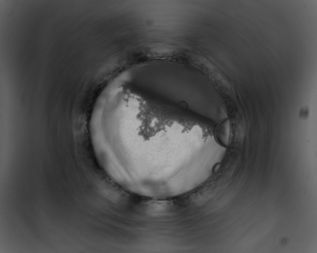 X0000101150711200807181334