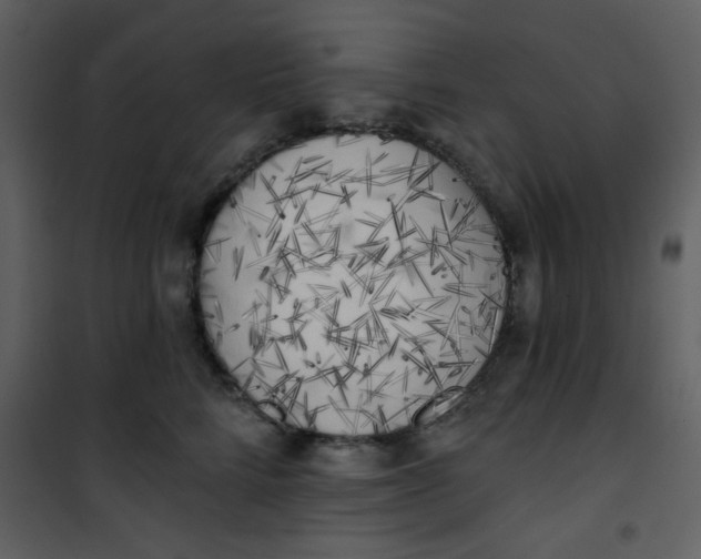 X0000101150712200807181334