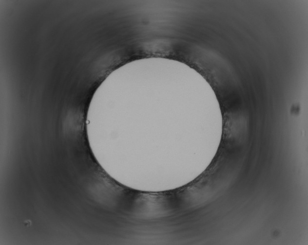 X0000101150713200807181334