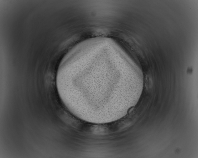 X0000101150714200807181334