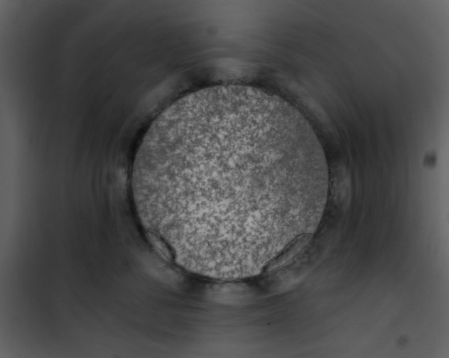 X0000101150716200807181334