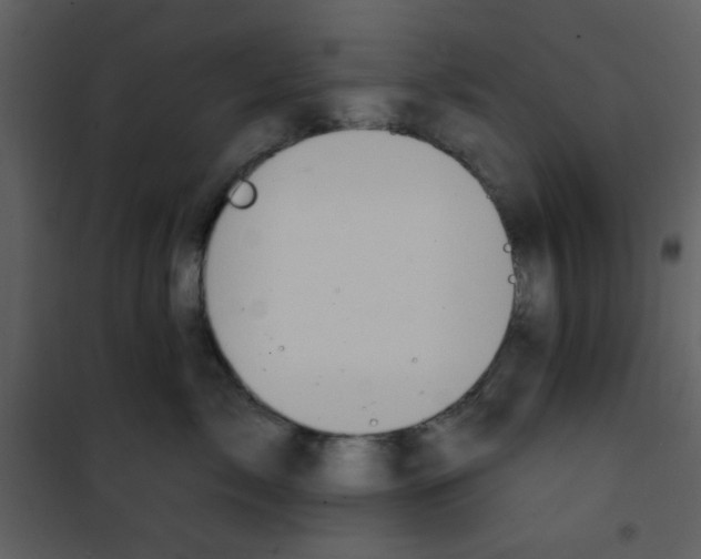 X0000101150717200807181334