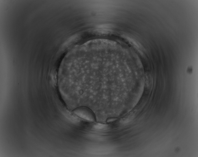 X0000101150718200807181334