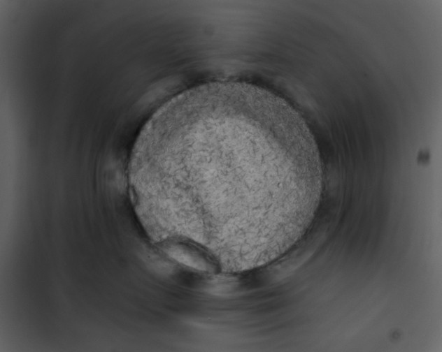 X0000101150719200807181334