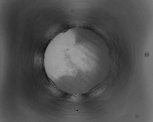 X0000101150720200807181334