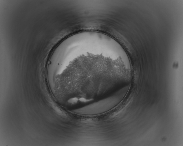 X0000101150721200807181333