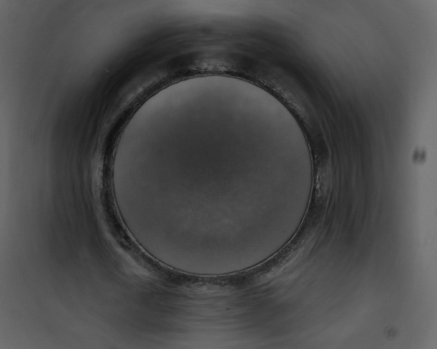 X0000101150722200807181333