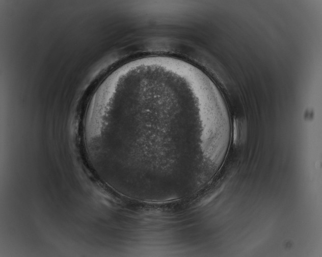 X0000101150723200807181333