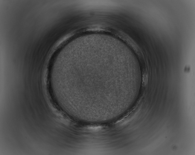 X0000101150724200807181333