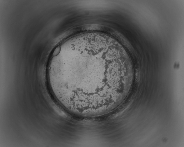 X0000101150725200807181333