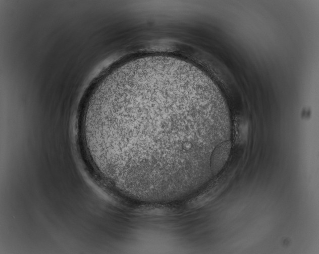 X0000101150726200807181333