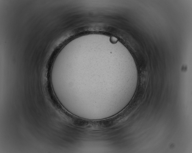 X0000101150727200807181333