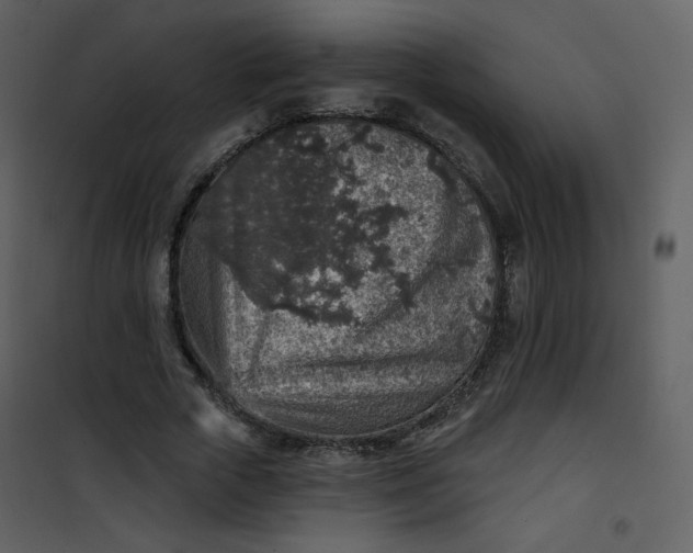 X0000101150729200807181333