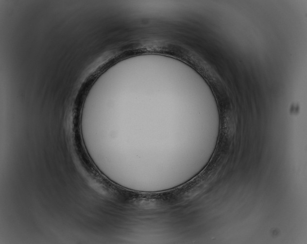 X0000101150730200807181333