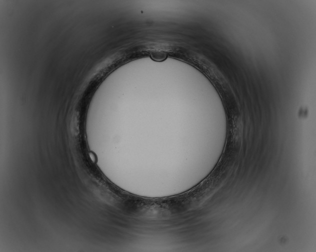 X0000101150731200807181333