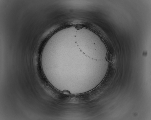 X0000101150732200807181333