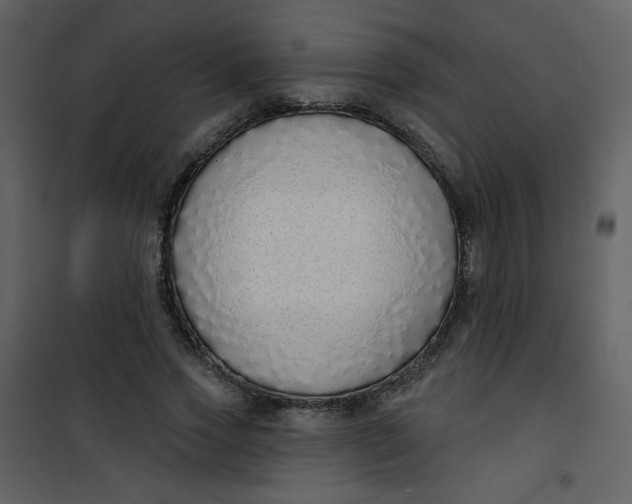 X0000101150733200807181333