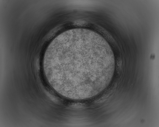 X0000101150734200807181333