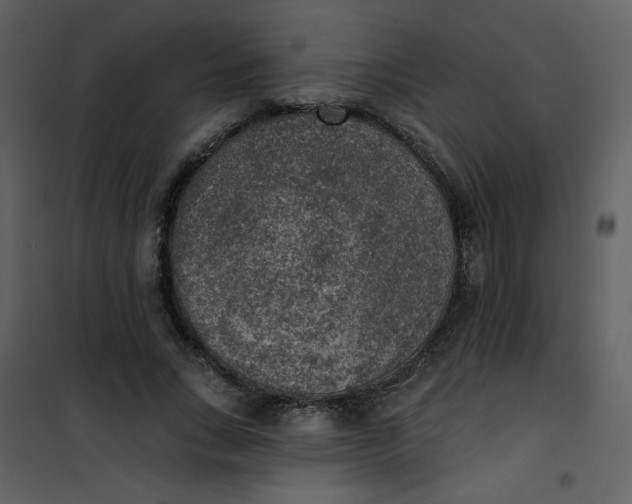 X0000101150735200807181333